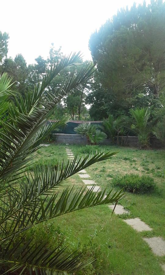 A57 Bed & Breakfast Casal Palocco Bagian luar foto